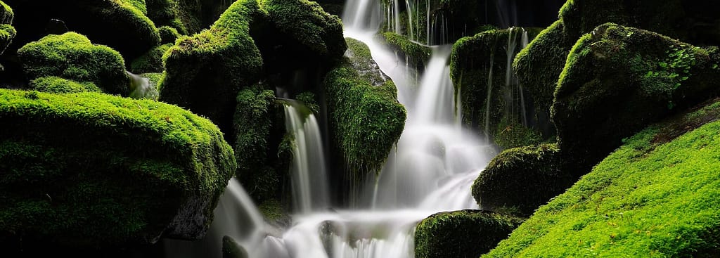 Wasserfall Natur