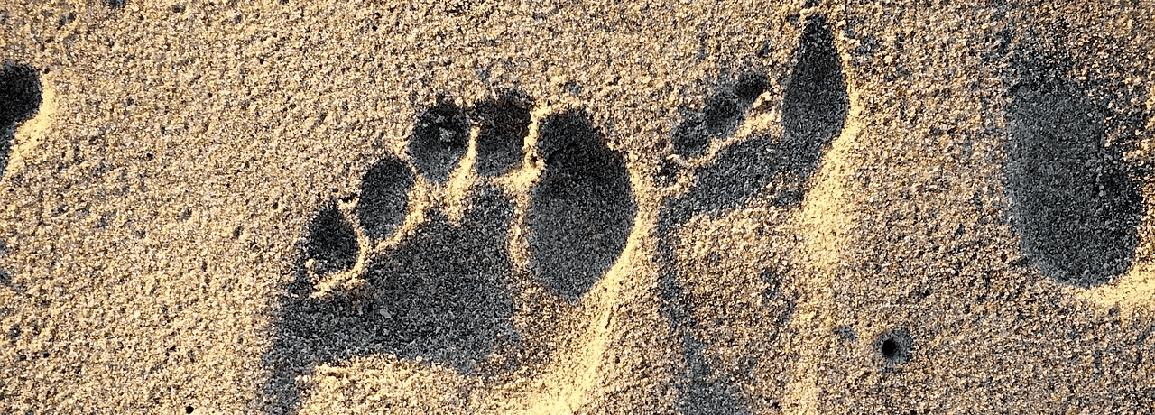 Fußabdrücke im Sand